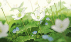 Featured image of post 初识Android