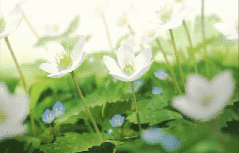 Featured image of post 初识Android