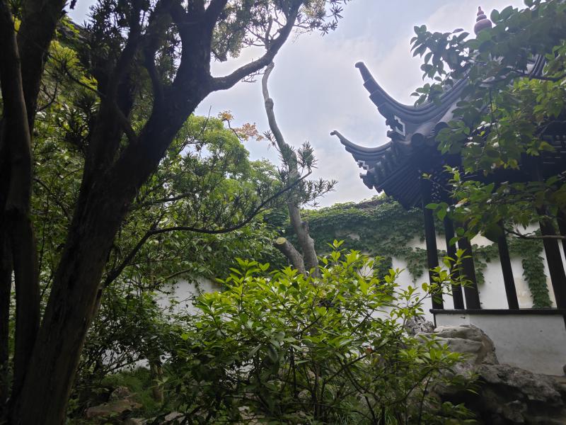 Featured image of post 暑期小结