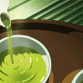 TEA 与 XXTEA